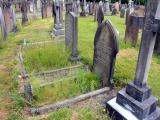 image of grave number 531371